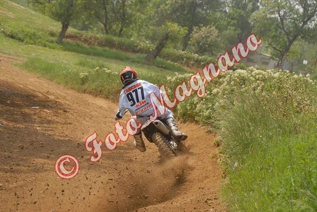 DSC_0912.jpg